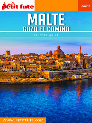 cover image of MALTE 2020 Petit Futé